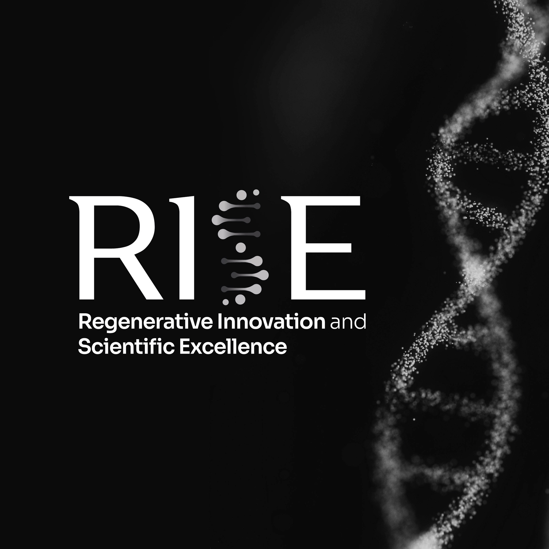RISE logo